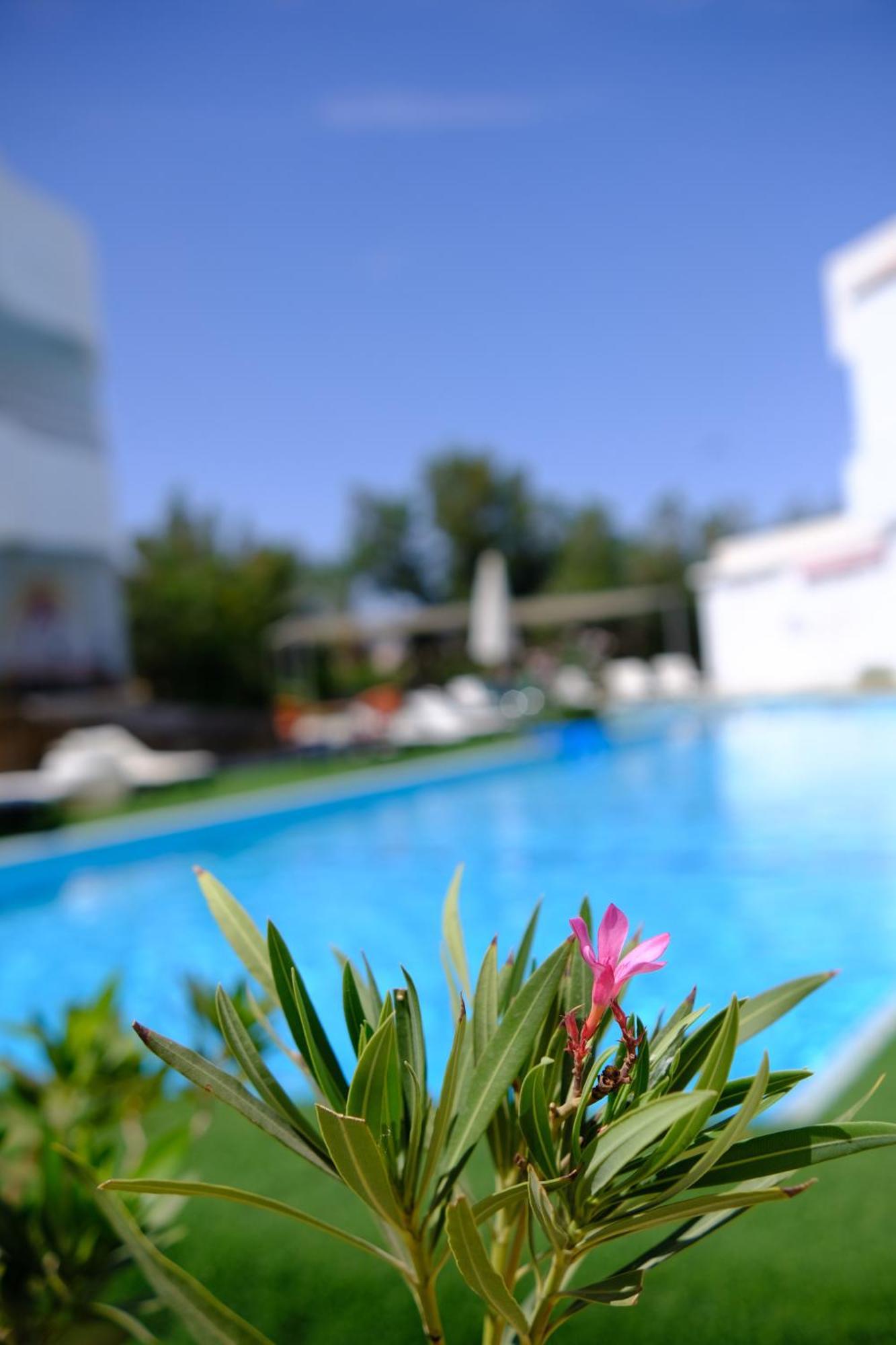 Viking Club Hotel Sharm el-Sheikh Exteriör bild